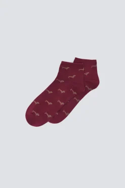 Springfield Calcetín corto perros burdeos Sale