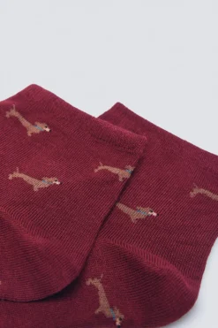 Springfield Calcetín corto perros burdeos Sale