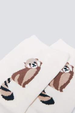 Springfield Calcetín largo mapache marr&oacute;n Discount