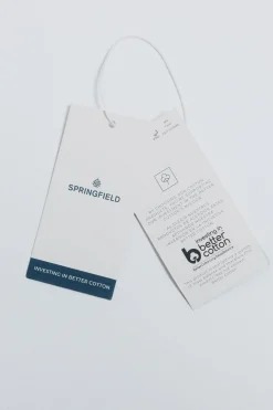 Springfield Camisa oxford ligero rayas verde Sale