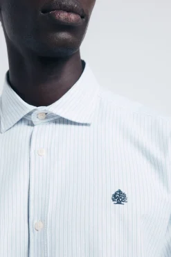 Springfield Camisa oxford ligero rayas azul New