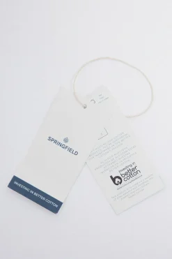 Springfield Camisa oxford tinte en prenda verde Best