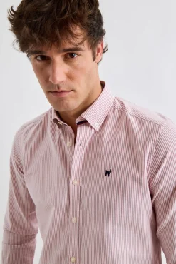 Williot Camisa Raya Oxford Rosa Clearance