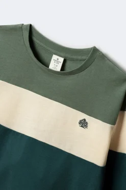 Springfield Kids Camiseta manga larga tricolor niño verde New