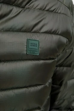 Jack & Jones PLUS Cazadora acolchada ligera PLUS verde Hot