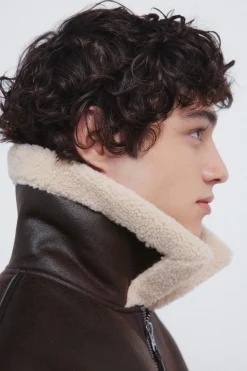 Springfield Cazadora aviador efecto ante doble faz marr&oacute;n Outlet