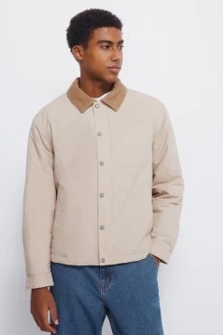 Springfield Cazadora cuello pana beige Online