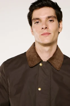 Selected Cazadora cuello pana 100% algodón orgánico Marr&oacute;n oscuro