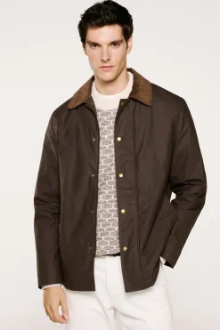 Selected Cazadora cuello pana 100% algodón orgánico Marr&oacute;n oscuro