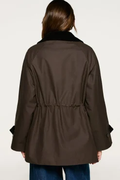 Selected Cazadora cuello pana 100% algodón orgánico Marr&oacute;n oscuro Hot