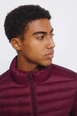 Springfield Chaqueta acolchada burdeos Best