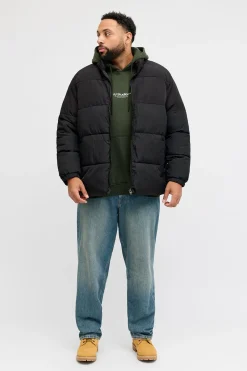 Jack & Jones PLUS Chaqueta acolchada hombre negro Online