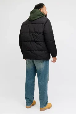 Jack & Jones PLUS Chaqueta acolchada hombre negro Online