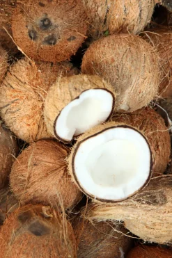 The Body Shop Gel de Ducha Cremoso de Coco 250 ml Multicolor Online