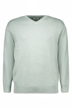 Springfield Jersey básico cuello pico verde