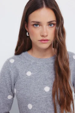 Springfield Jersey intarsia topos gris