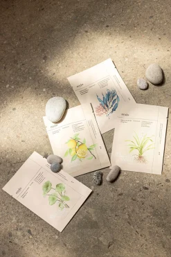 Ondo beauty 36.5 Mascarilla de burbujas limpiadora y exfoliante Blanco Best