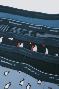 Springfield Pack 5 boxers algodón estampados azul