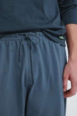 Springfield Pijama largo Cookie Monster azul