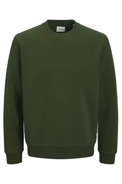 Jack & Jones PLUS Sudadera regular fit PLUS verde Online