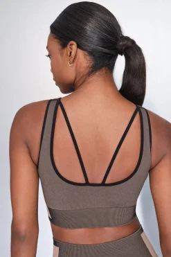 Dash and Stars Sujetador deportivo marrón SEAMLESS FIT marr&oacute;n Sale